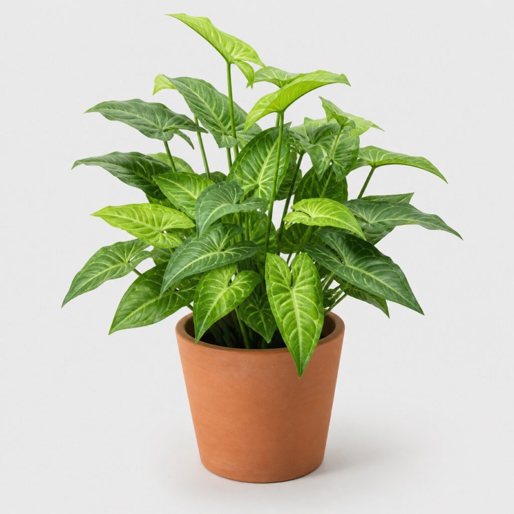 Plante artificielle au feuillage nervuré et dégradé, en pot de terre cuite, sur fond clair