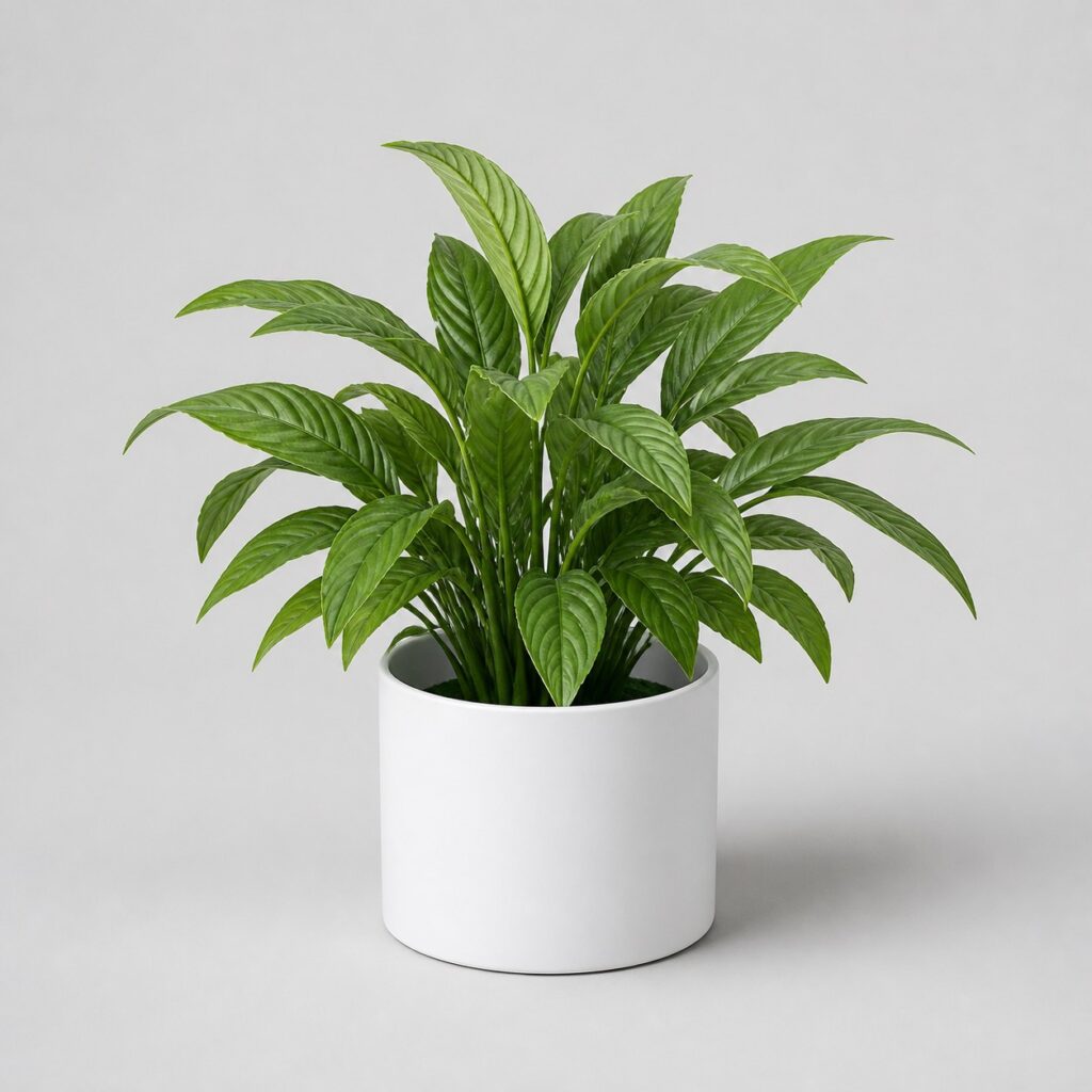 Plante verte artificielle sans fleur au feuillage dense, en pot blanc mat, sur fond clair